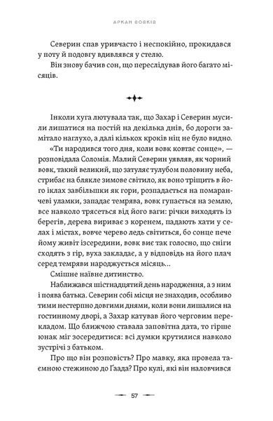 Аркан вовків. Літопис Сірого Ордену. Книга 1 64052 фото